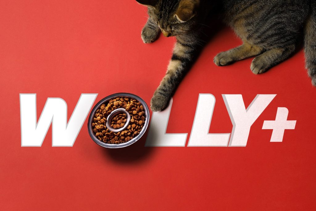 Wolly Pet Food - Logo and Packaging Design by EGGHEAD Branding Agency