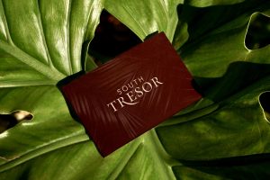 South Tresor - Marketing Collaterals Design - EGGHEAD Branding Agency
